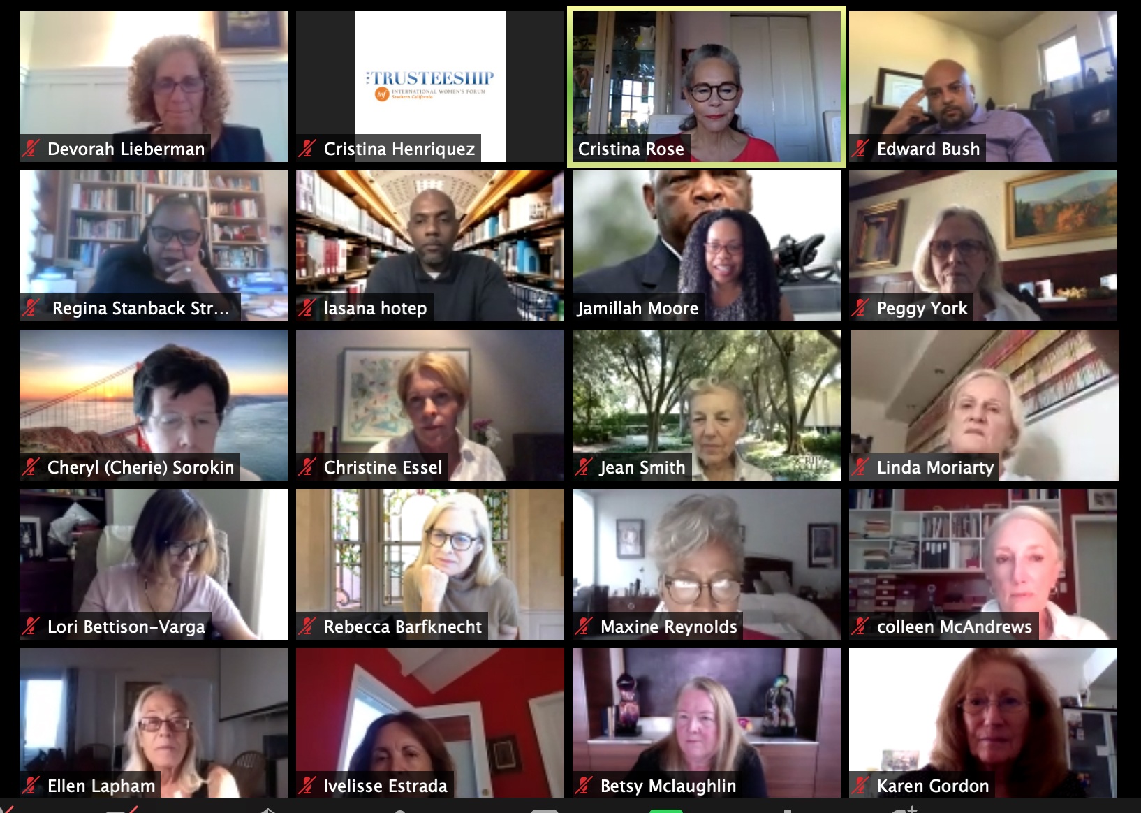 galleryview-Anti-racism-webinar